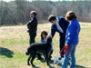 Canine Magic Dob Obedience Training, Massachusetts