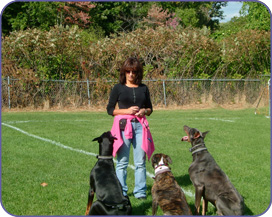 Off-Leash Training